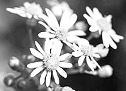 故障恢复的网站攻击源码